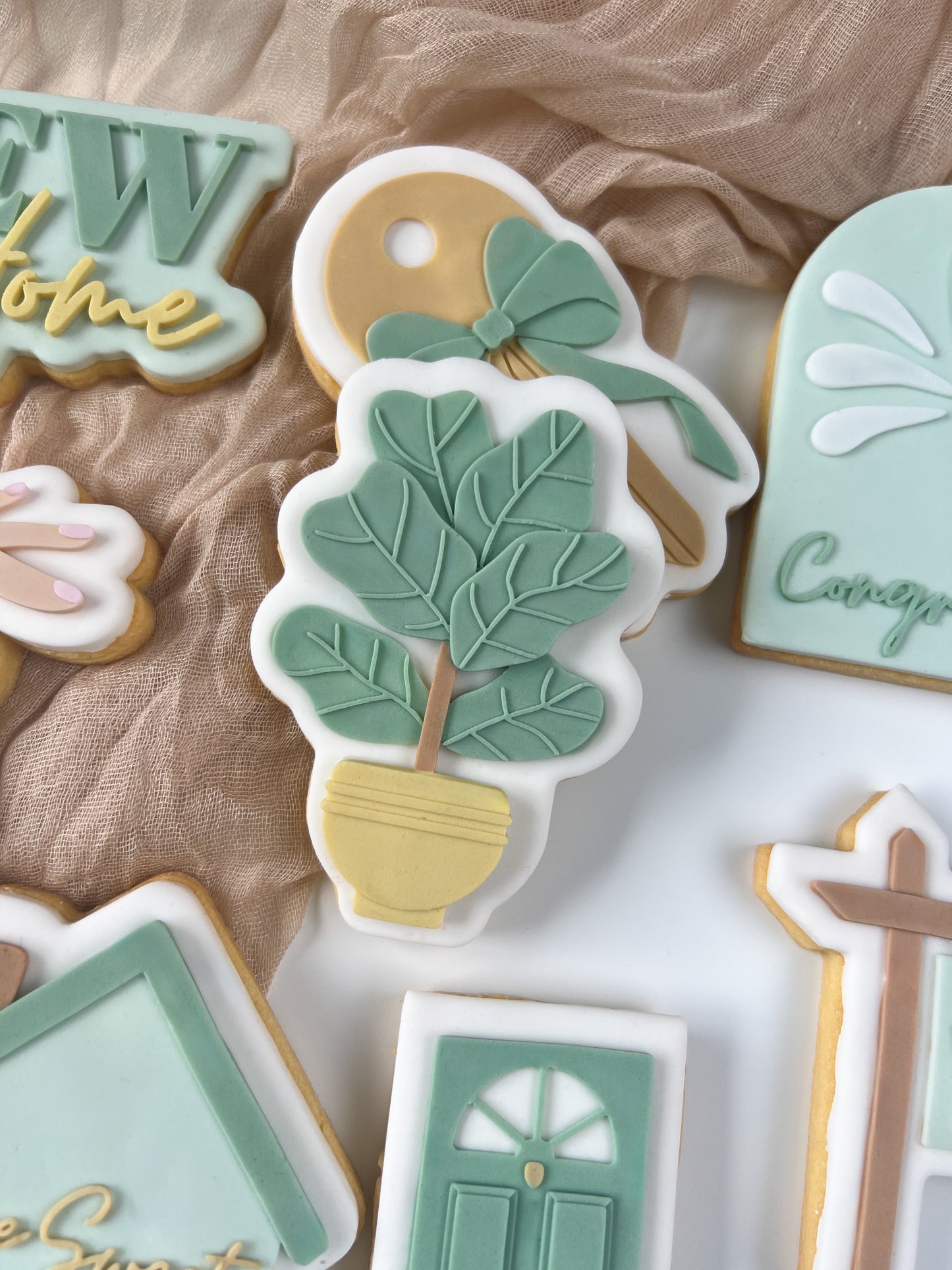 Fiddle leaf fig debosser stamp and cutter