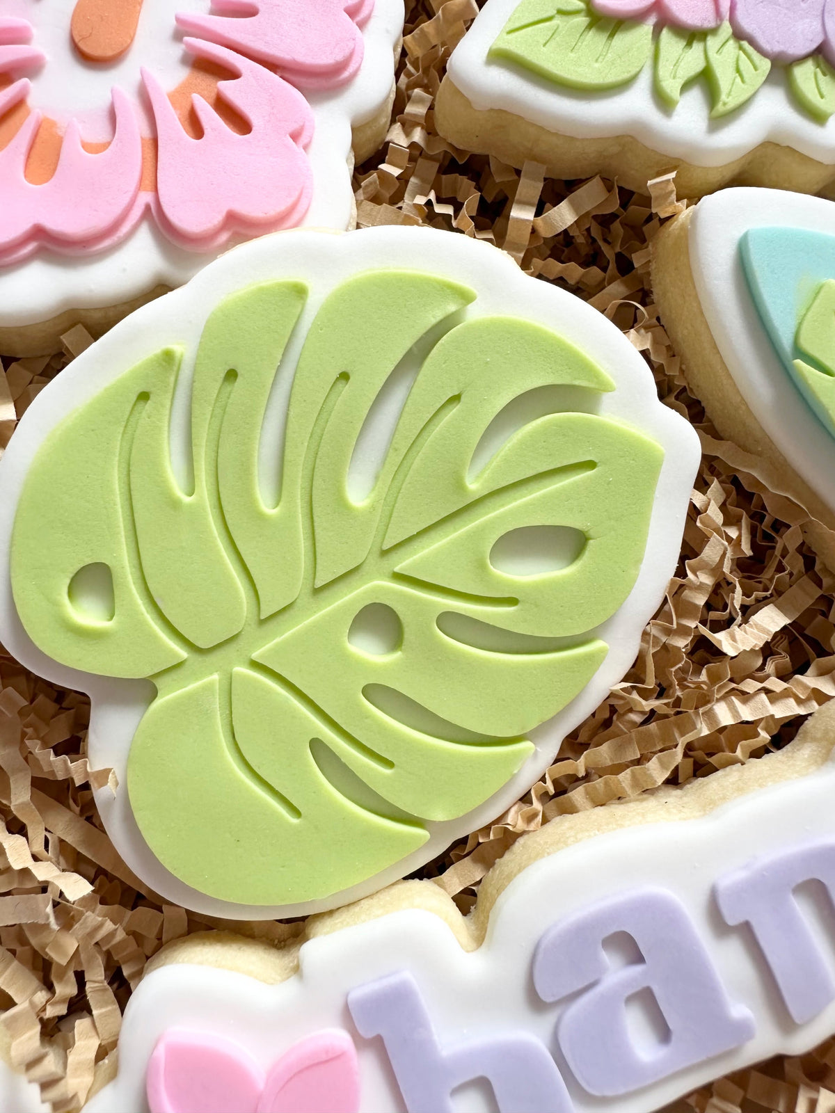 Monstera leaf debosser and cutter